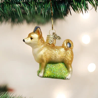 Chihuahua