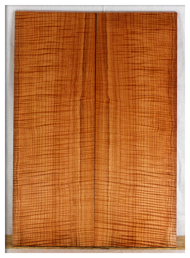 Maple Electric Guitar Drop Top