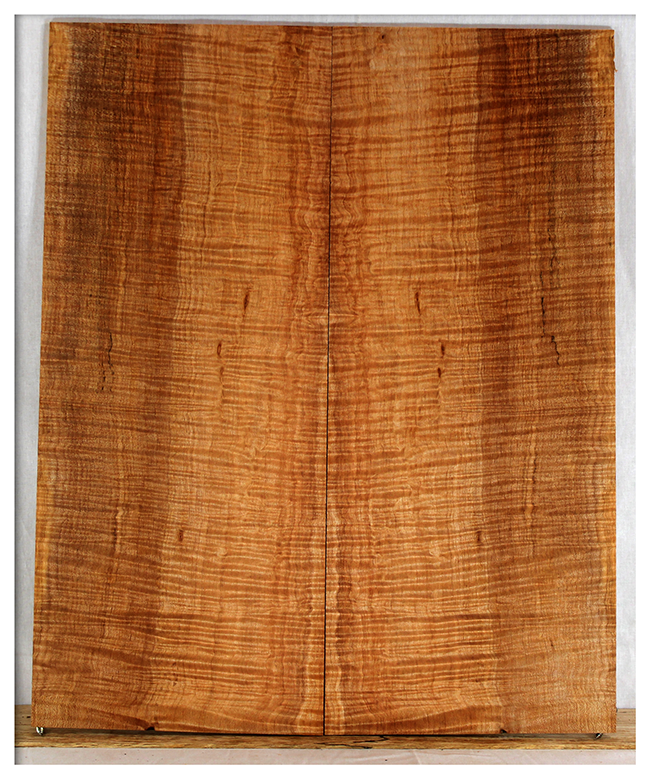 Maple Solid Body Electric Drop Top