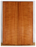 Maple Solid Body Electric Drop Top