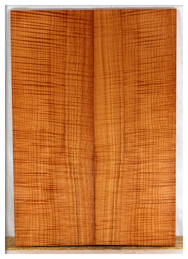 Maple Solid Body Guitar Drop Top
