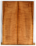 Maple Electric Guitar Drop Top