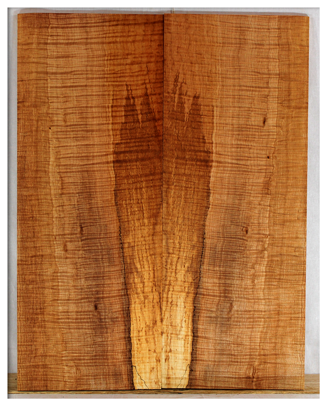 Maple Solid Body Electric Drop Top