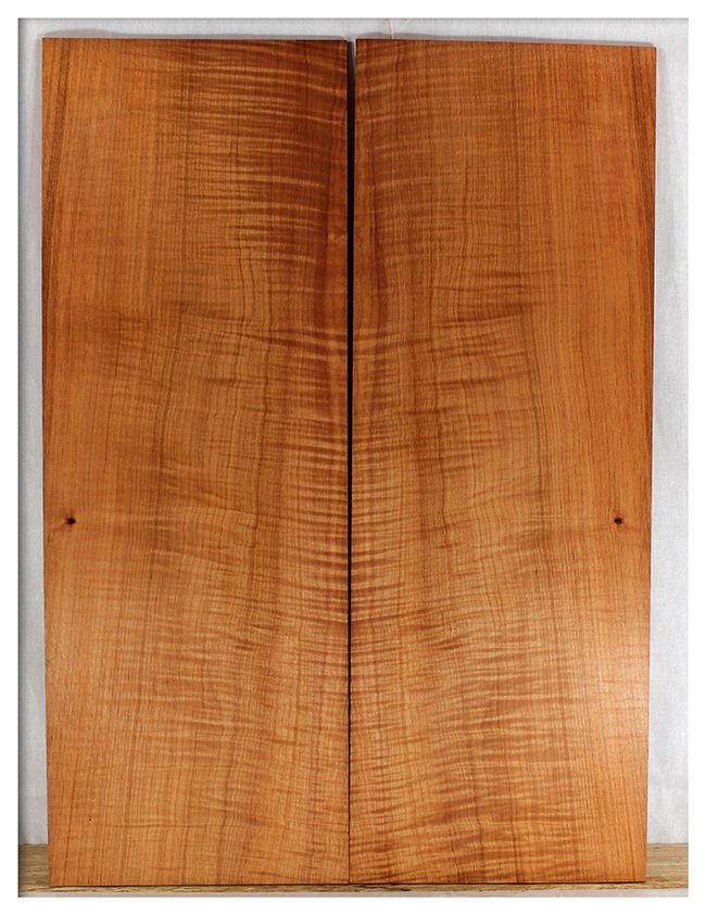 Maple Solid Body Electric Drop Top