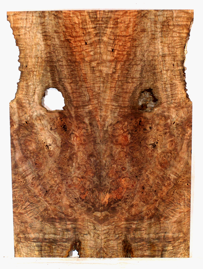 Maple Guitar Drop Top (FG45)
