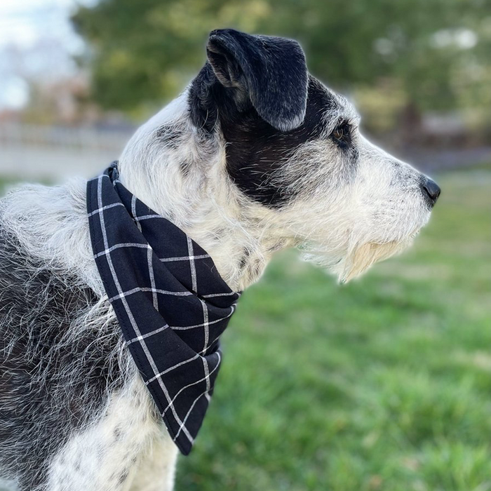 Oyster Flannel Dog Bandana