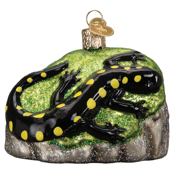 Salamander