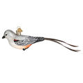 Scissor Tailed Flycatcher